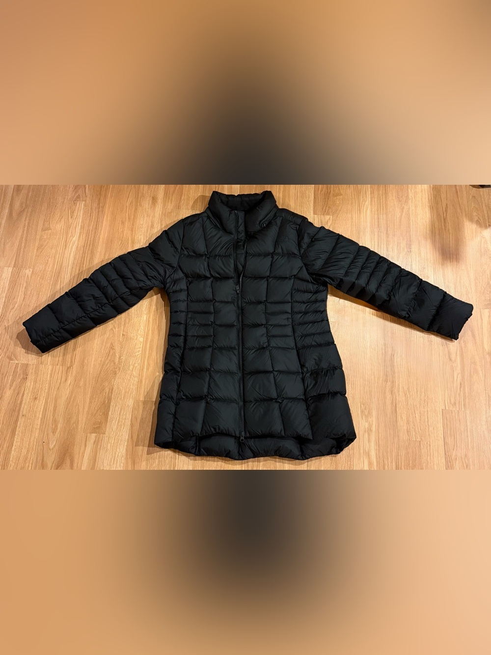 EUC Women’s The North Face Transit II Down Jacket/550 Fill/Black/Missing Hood/L